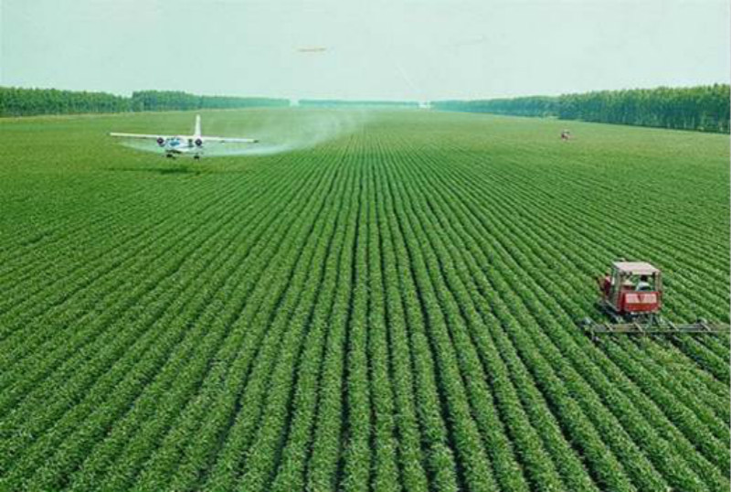 中央一號文件釋放加快建設農(nóng)業(yè)強國信號