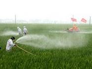 農(nóng)業(yè)農(nóng)村部部署“十五五”農(nóng)藥科學(xué)安全使用工作