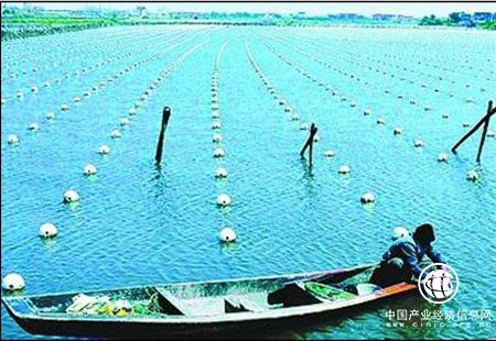 我國擬修法促進漁業(yè)提質(zhì)增效、綠色發(fā)展