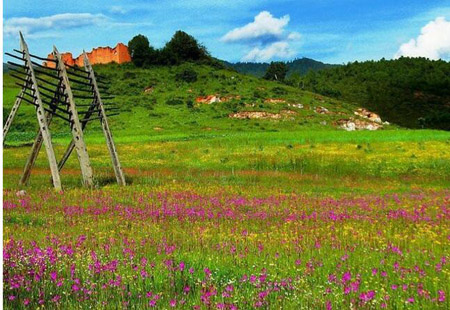 今年一季度云南旅游總收入達2635.95億元