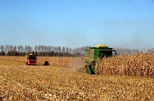 農(nóng)業(yè)保險(xiǎn)“?！鼻锛Z“護(hù)”豐收