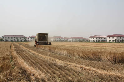 內(nèi)蒙古深化改革提高土地利用效率