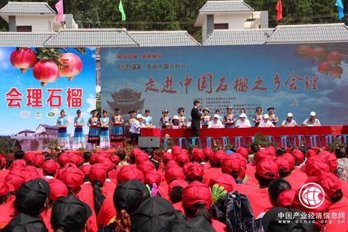 “中國石榴之鄉(xiāng)”舉辦產(chǎn)業(yè)觀光體驗(yàn)游活動