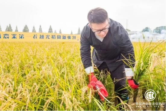 為什么韋杰總是一身中式長衫？因為他要強調(diào)中華文明