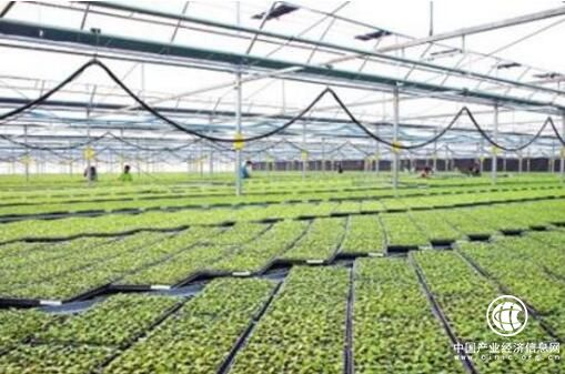 發(fā)展新動能，推動農(nóng)業(yè)增效 農(nóng)民增收 農(nóng)村增綠