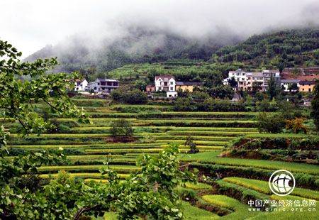 生態(tài)文明建設加速推進 重點解決四方面問題