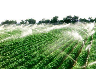 農(nóng)業(yè)農(nóng)村進(jìn)入新時代的重大變化有哪些？