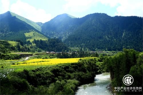 創(chuàng)新發(fā)展優(yōu)質(zhì)旅游 提高國際競爭力