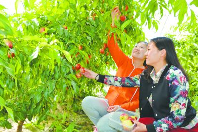 農(nóng)家樂要在鄉(xiāng)情、鄉(xiāng)戀、鄉(xiāng)愁上注入文化元素