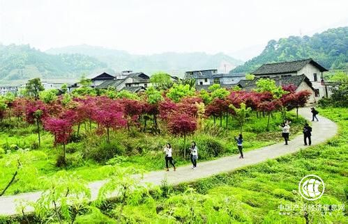 鄉(xiāng)村振興，如何實(shí)現(xiàn)百姓富、生態(tài)美？