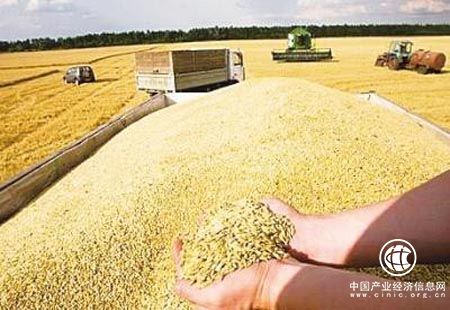 今年我國(guó)糧食生產(chǎn)目標(biāo)：穩(wěn)定在12000億斤以上