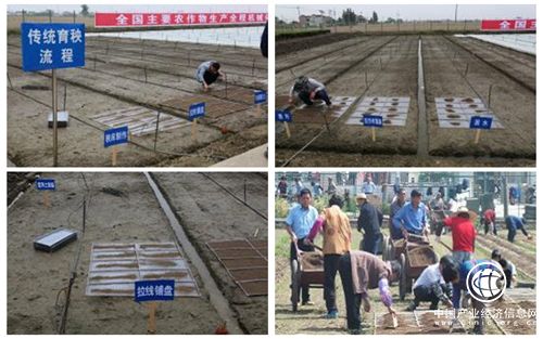 改變傳統(tǒng)育秧模式，解決育秧機(jī)械化難題 