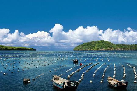 優(yōu)化藍(lán)色海洋經(jīng)濟(jì)，打造新的經(jīng)濟(jì)增長點(diǎn)