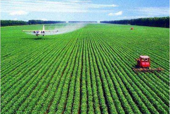 河南推進(jìn)農(nóng)業(yè)大省向農(nóng)業(yè)強(qiáng)省蝶變