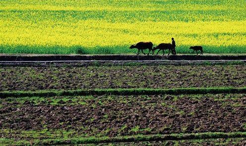 福建省最新耕地后備資源調(diào)查評價成果形成