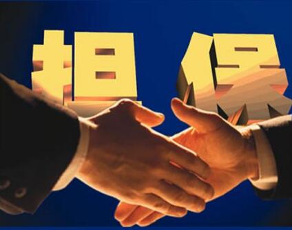 我國將設立國家融資擔?；?首期募資不低于600億元