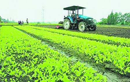 發(fā)展新型農業(yè)經營主體