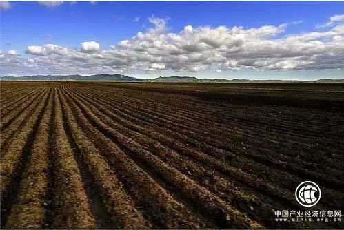 黑龍江省第三次全國土壤普查外業(yè)調(diào)查采樣工作紀(jì)實(shí)