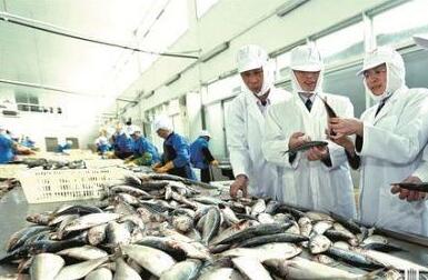 水產(chǎn)預制菜成預制菜領域“優(yōu)等生” 2026年市場規(guī)模將達2576億元