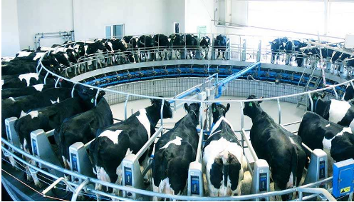 以差異化創(chuàng)新破局　乳業(yè)：每個細分人群都是機會點