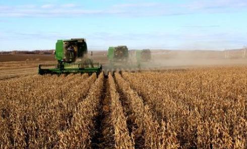 前4月大豆進(jìn)口量減少3.8%豬肉會漲價嗎？