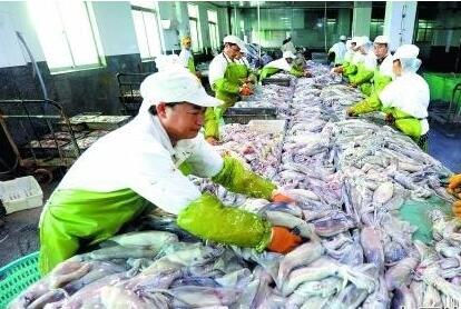 線下線上消費(fèi)紅火 海鮮市場供需兩旺