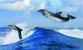 國產(chǎn)紀(jì)錄片播出增新規(guī)，衛(wèi)視黃金檔全年不得低于7小時