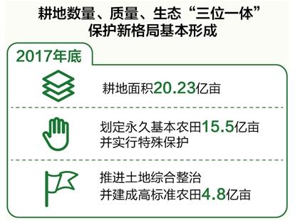 數(shù)量、質(zhì)量、生態(tài)協(xié)同 耕地保護(hù)新格局基本形成