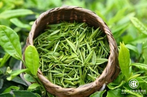 預(yù)計(jì)今年全國(guó)茶葉銷售額將超過(guò)2400億元