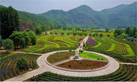 農(nóng)業(yè)景觀謀發(fā)展，北京密云人間花海水上娛樂王國受關注