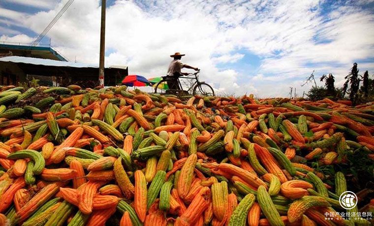 農(nóng)產(chǎn)品如何破解賣(mài)難困局？埋頭苦種難以解憂