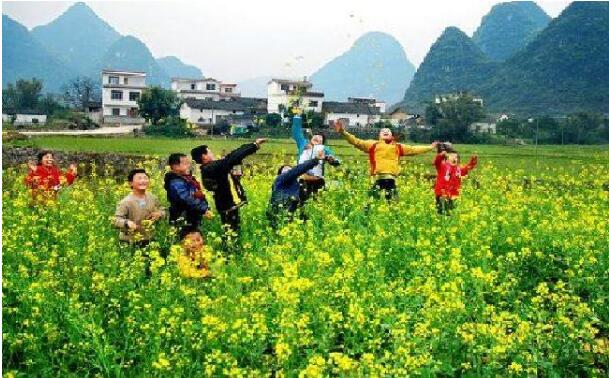 凝心聚力 共促鄉(xiāng)村旅游提質(zhì)升級