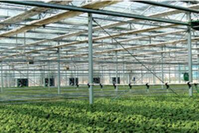 40年來我國農(nóng)業(yè)科技成果共獲2227項國家各類科技獎勵