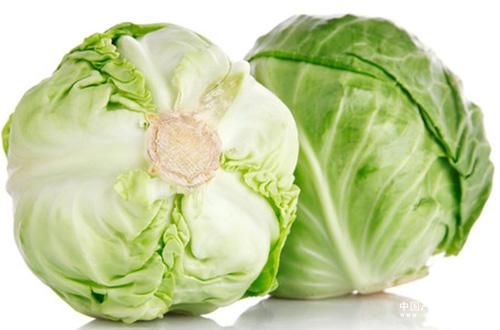 科技日?qǐng)?bào)：卷心菜西蘭花 有助預(yù)防腸癌