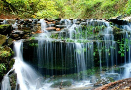 6年間 四川入境游客人次實(shí)現(xiàn)“百萬級”增長