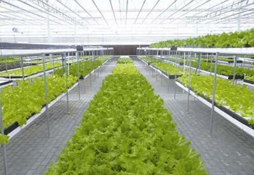 大力發(fā)展智慧農(nóng)業(yè) 安徽農(nóng)業(yè)科技進步貢獻率高出全國平均水平