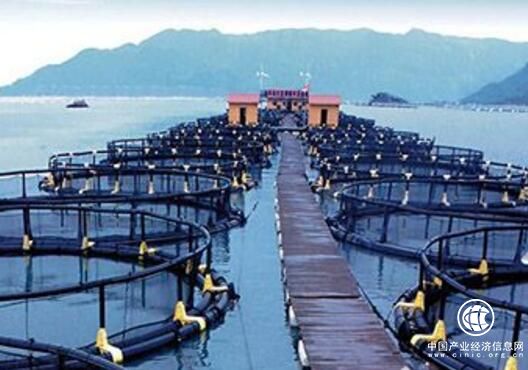 加快培養(yǎng)海洋新興產業(yè) 推動海洋經濟高質量發(fā)展