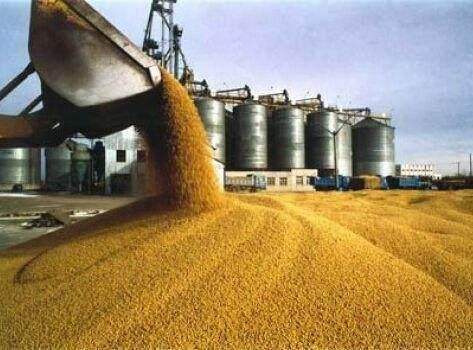 谷物保持較高自給水平，市場運(yùn)行平穩(wěn)——國內(nèi)糧食市場供給充裕