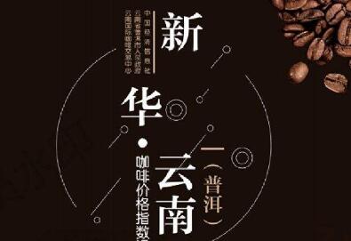 新華·云南（普洱）咖啡價格指數(shù)在京發(fā)布