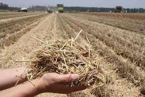 河南出臺(tái)三年行動(dòng)方案 推動(dòng)秸稈“變廢為寶”