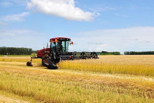 種田更省心！我國(guó)三大主糧作物收獲基本實(shí)現(xiàn)機(jī)械化