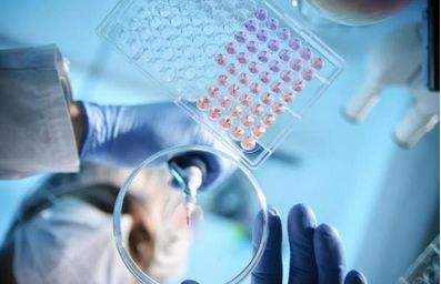 生物醫(yī)藥、人工智能等關(guān)鍵領(lǐng)域創(chuàng)新型產(chǎn)業(yè)集群蓄勢崛起