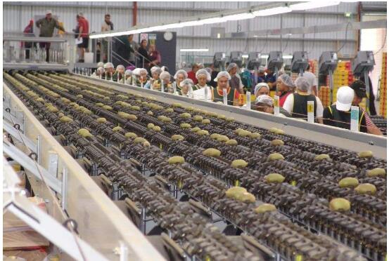 前三季度四川民營經(jīng)濟增加值同比增長5.5%