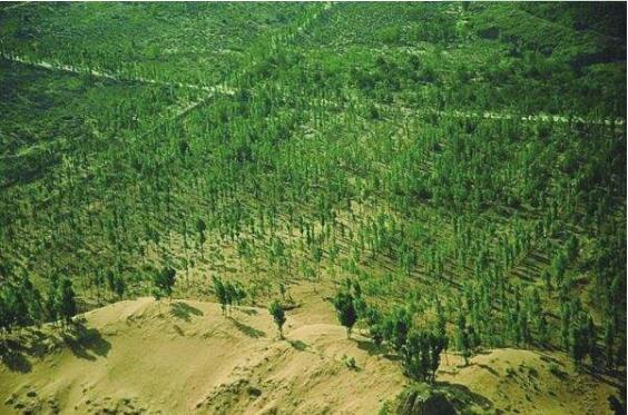 國家林草局：“三北”工程攻堅(jiān)戰(zhàn)完成建設(shè)任務(wù)1.64億畝