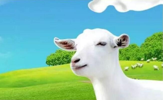 “中國(guó)奶山羊之鄉(xiāng)”陜西著力培育千億級(jí)奶山羊全產(chǎn)業(yè)鏈