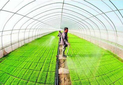 河南省財政支持大學生志愿服務鄉(xiāng)村振興計劃 助力引智入鄉(xiāng)促就業(yè)