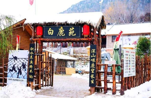 “打卡式”旅游已降溫？文化IP成旅游產(chǎn)業(yè)增長新爆點(diǎn)