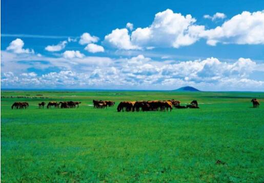 “十四五”我國收集保存林草種質(zhì)資源增長180%