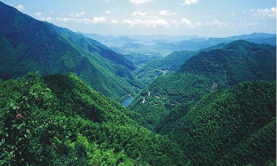 65.85%！福建森林覆蓋率連續(xù)47年保持全國第一