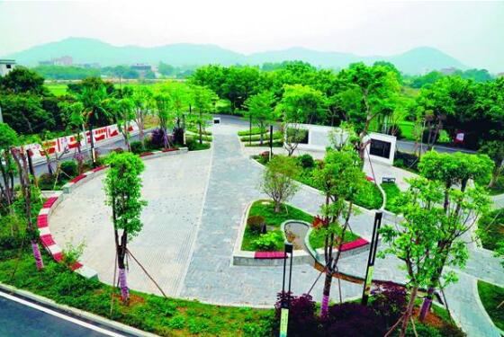 一號文件，繪就鄉(xiāng)村全面振興“路線圖”